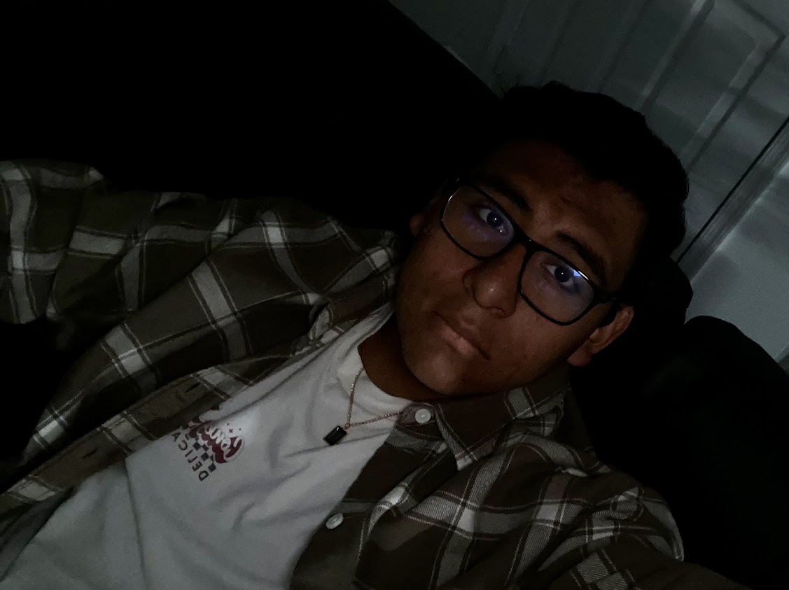 Picture 3